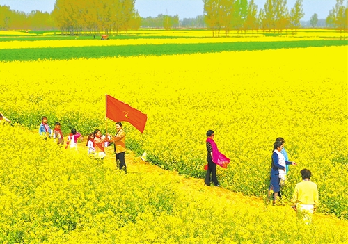 休闲农业不负春光,与春天撞个满怀