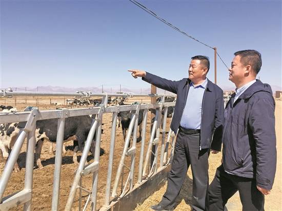 伊利：集聚产业链优势，实现农业现代化转型