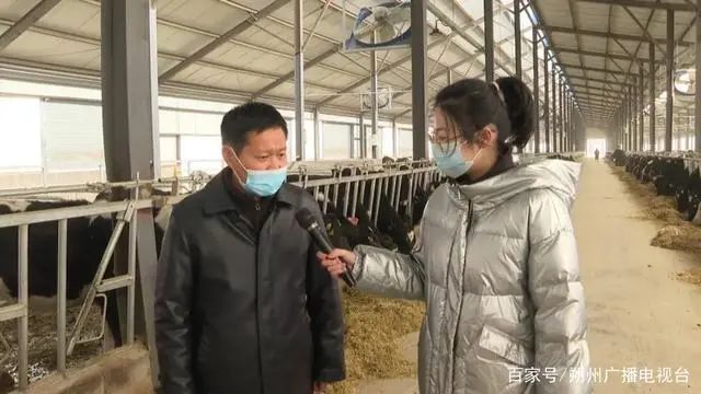 古城乳业:拟投资4亿元,5年内奶牛存栏达15000头