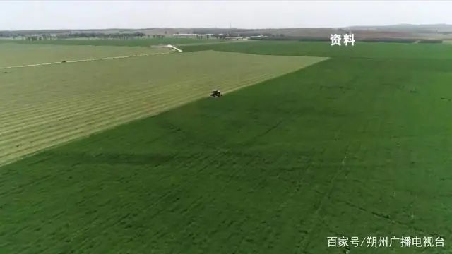 古城乳业:拟投资4亿元,5年内奶牛存栏达15000头