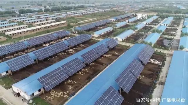 古城乳业:拟投资4亿元,5年内奶牛存栏达15000头