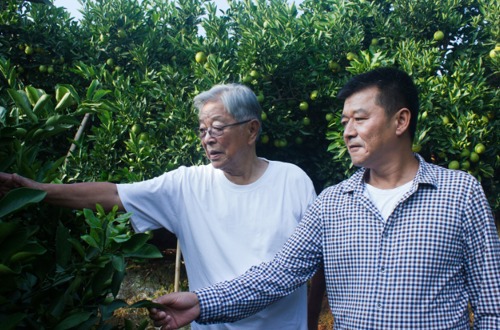 è¤ä¸æ.jpg