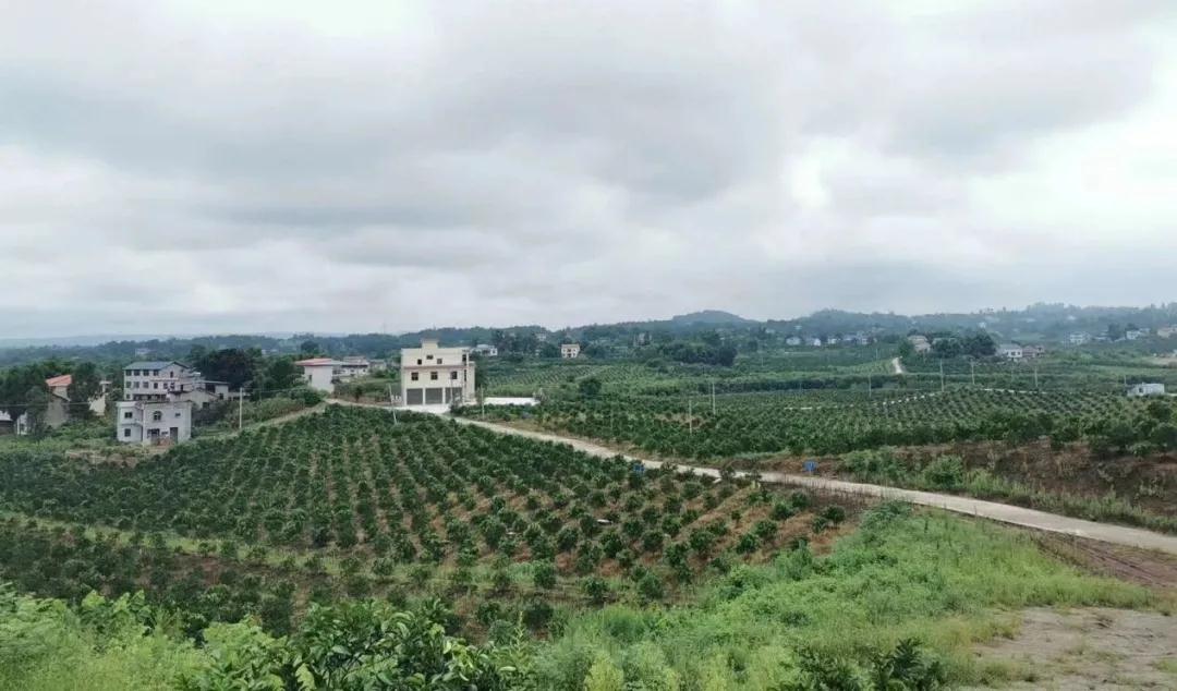 微信图片_20210419093232.jpg 微信图片_20210419093232.jpg