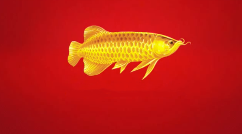 微信截图_20210104164401_副本.png 微信截图_20210104164401_副本.png