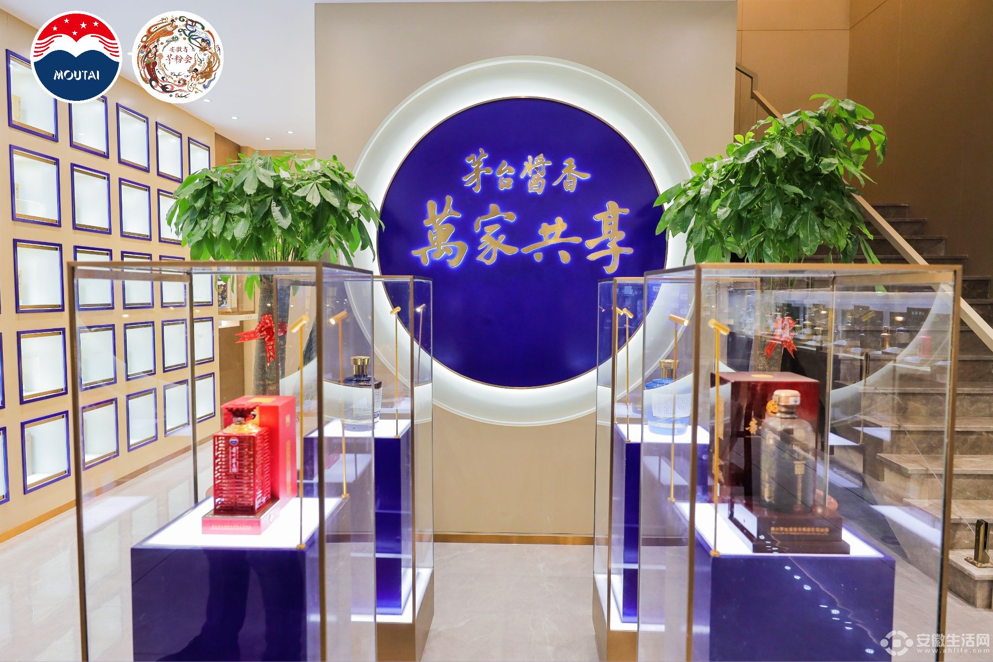 茅2.jpg 茅2.jpg