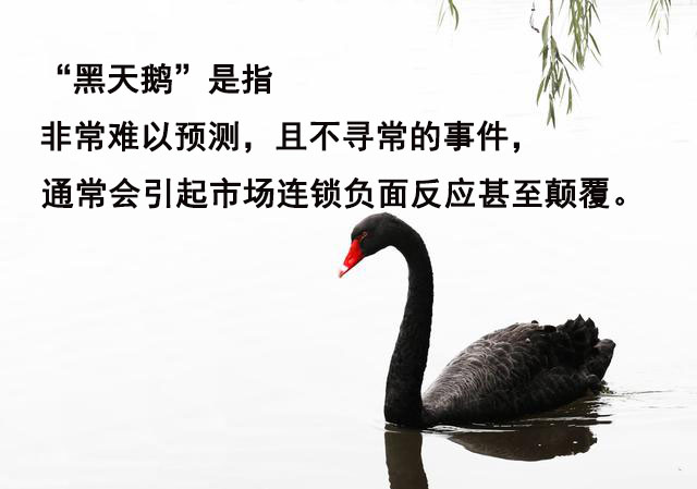 黑天鹅.jpg 黑天鹅.jpg