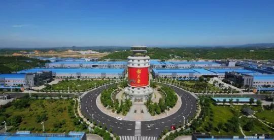 蔡开云“接棒”稻花香董事长 将围绕“一主三辅”筑集团千亿产业…