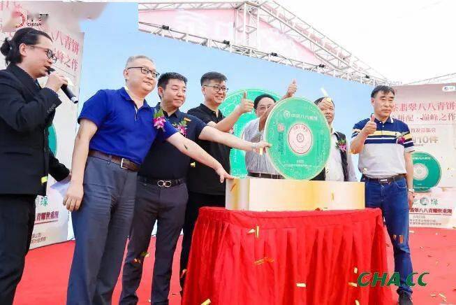 中茶翡翠八八青饼昆明首发品鉴会惊艳全场