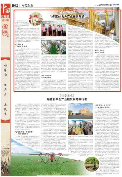 安徽联河:“好粮油”助力产业提质