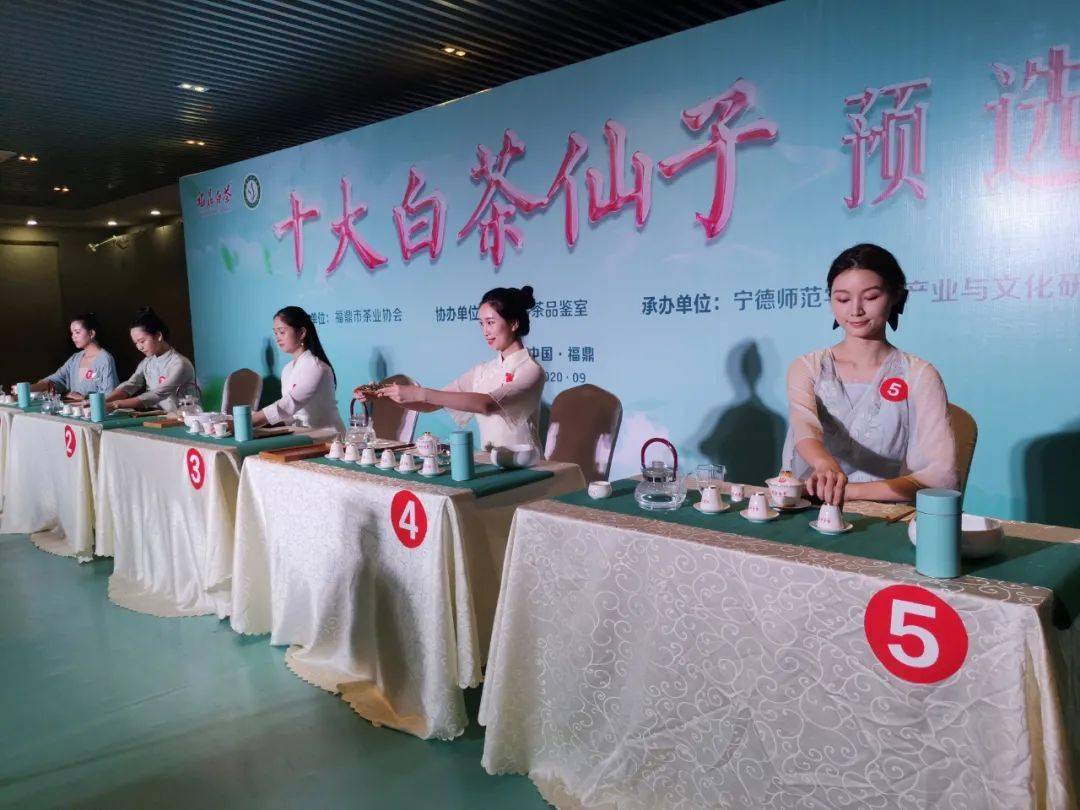 “十大白茶仙子”二十一名选手名单出炉