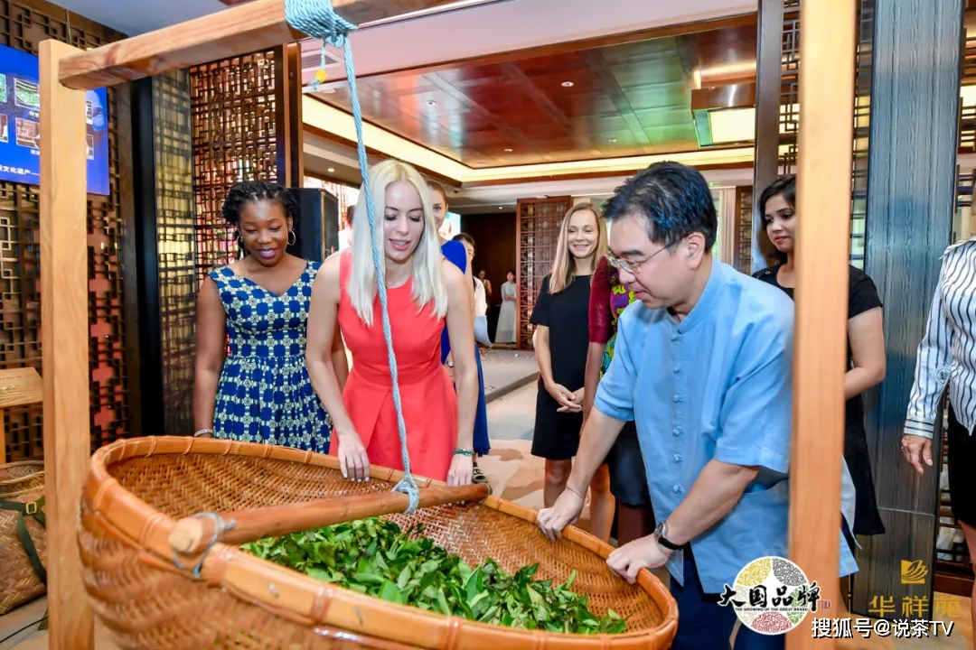 这款茶起点太高!3年的时间就成为“高端茶”代名词
