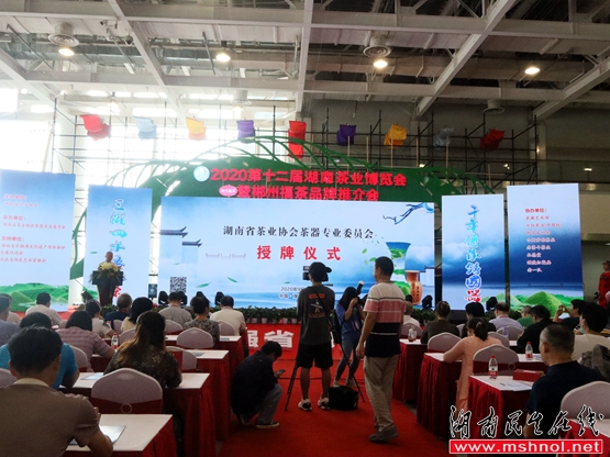 湖南省茶业协会茶器专业委员会今天在长沙成立