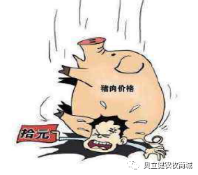 唐人神陶一山:2022年猪肉或将跌破10元……