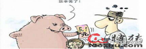 唐人神陶一山:2022年猪肉或将跌破10元……