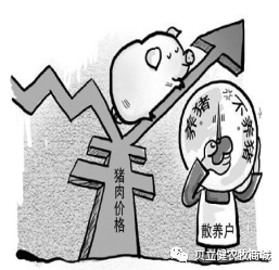 唐人神陶一山:2022年猪肉或将跌破10元……