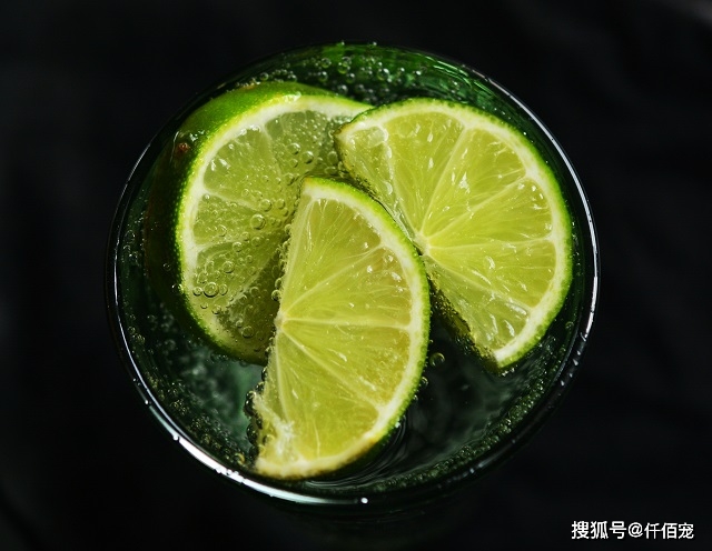 仟佰宠预测2021年饮料行业趋势