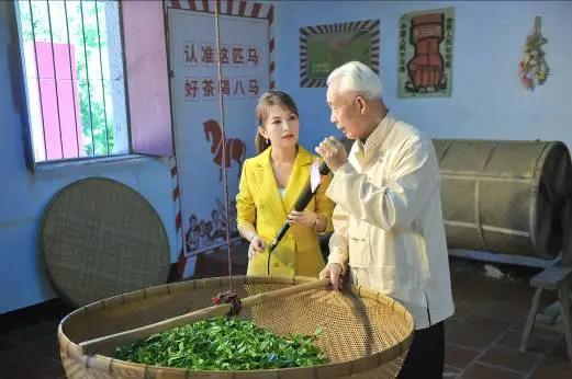 八马茶业:用差异化思维打造品牌