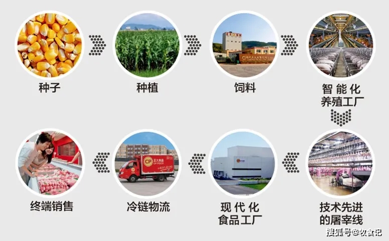 猪肉、肉鸡、蛋鸡…正大集团不断扩大业务版图!