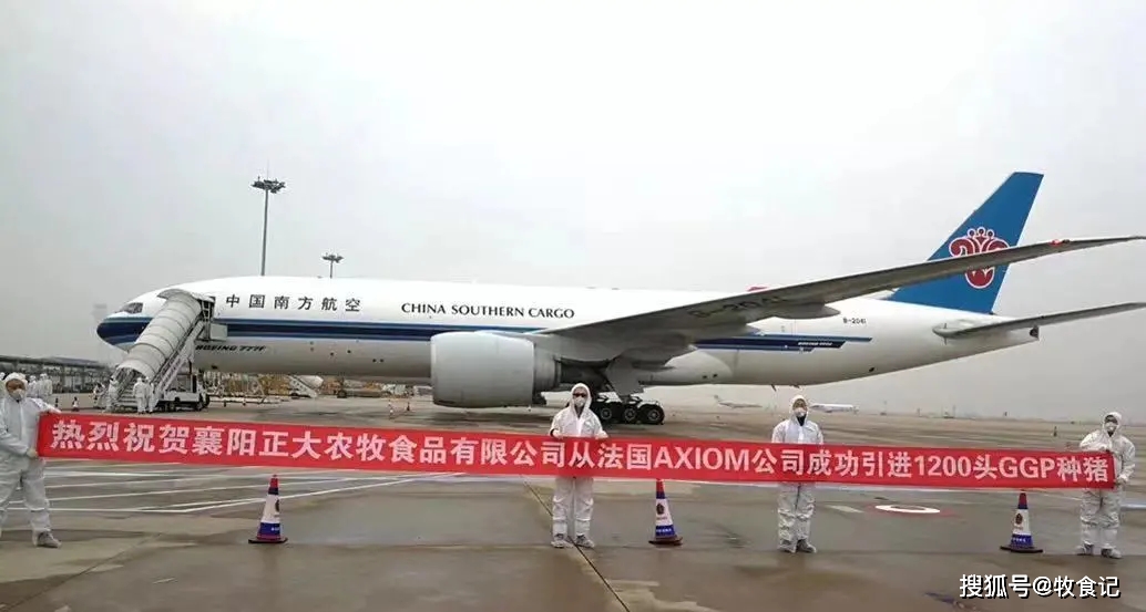 猪肉、肉鸡、蛋鸡…正大集团不断扩大业务版图!