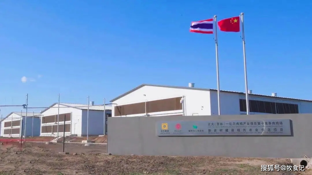 猪肉、肉鸡、蛋鸡…正大集团不断扩大业务版图！