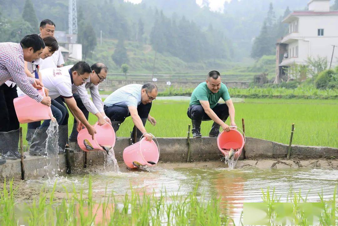 泸州老窖喜提2020中国品牌论坛两项大奖