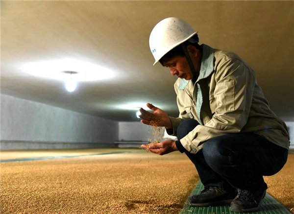 维维股份迎来政策红利,国资加持助力粮食产业突破“瓶颈”