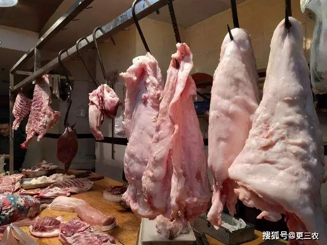 猪价“涨红”多地破36元,猪肉大涨5.19元,元旦肉价、猪价预警!