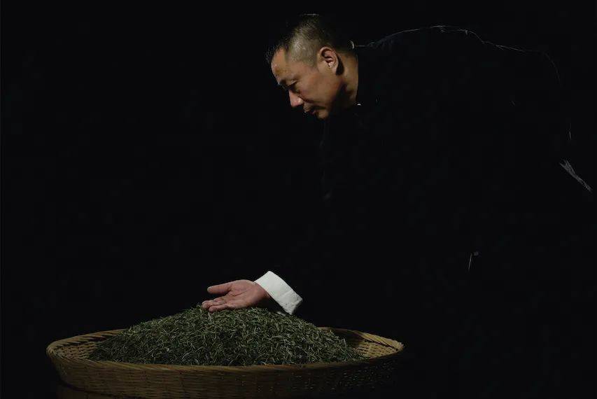“制茶大师”林振传——振兴白茶，传承茶技