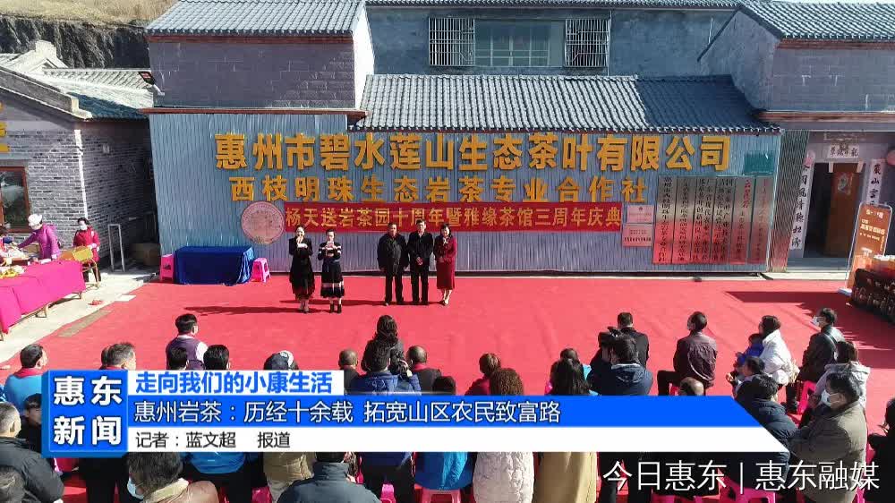 惠州岩茶:历经十余载 拓宽山区农民致富路