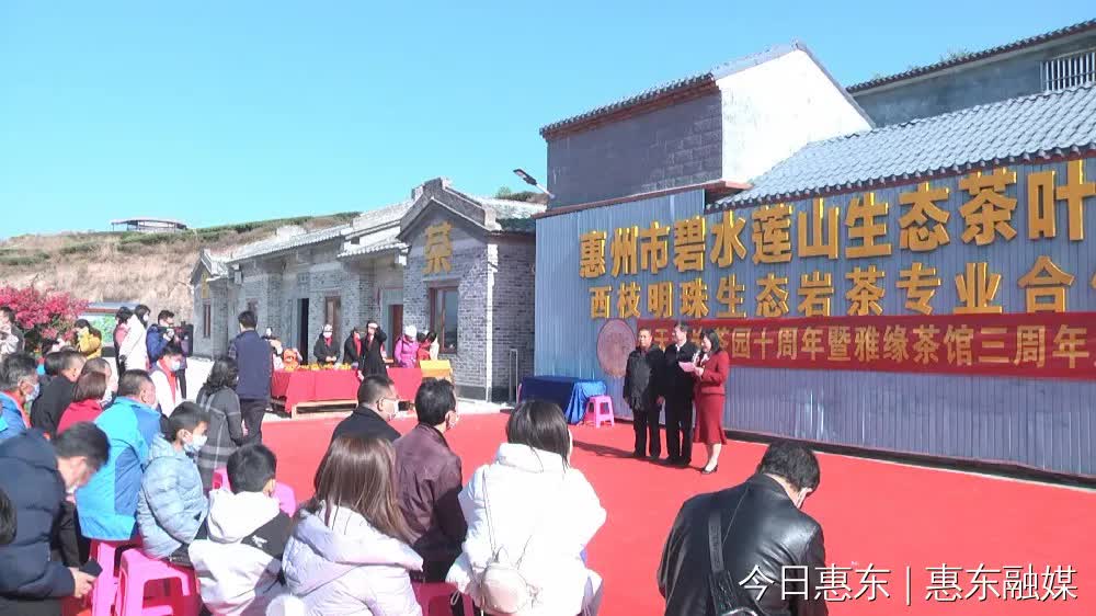 惠州岩茶:历经十余载 拓宽山区农民致富路