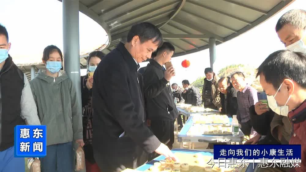 惠州岩茶:历经十余载 拓宽山区农民致富路