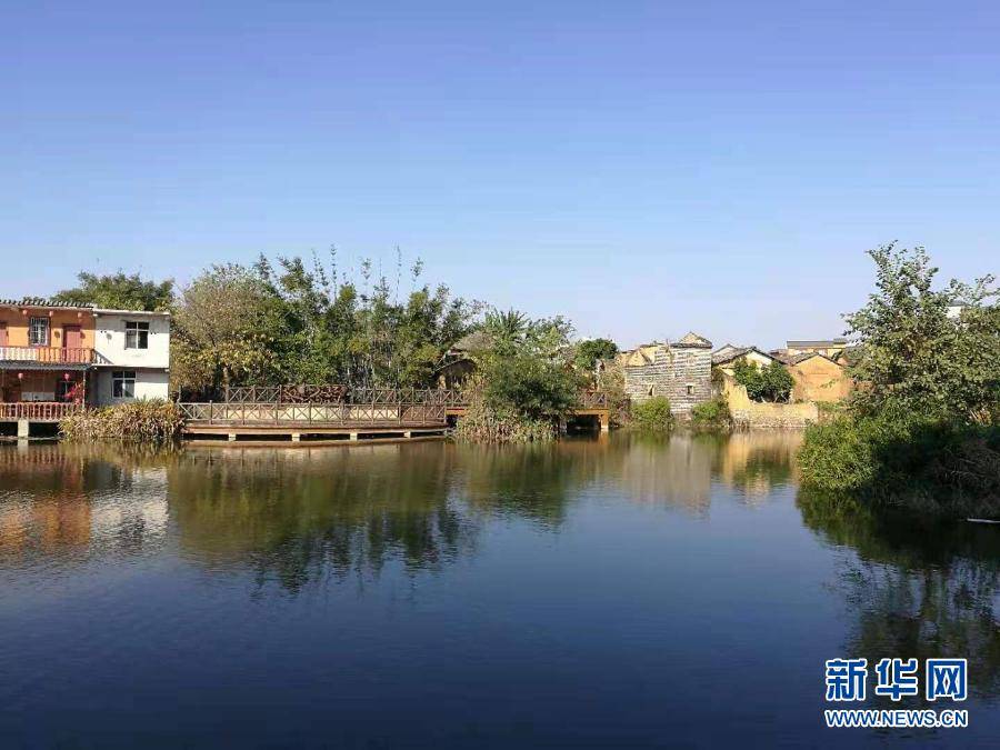 “稻花香里”特色农业小镇发展实录