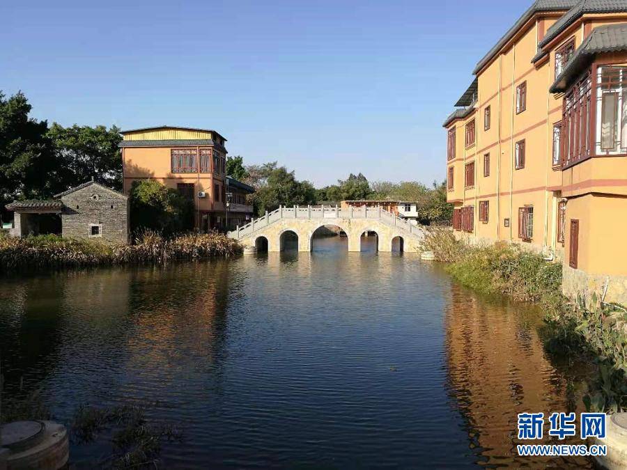“稻花香里”特色农业小镇发展实录