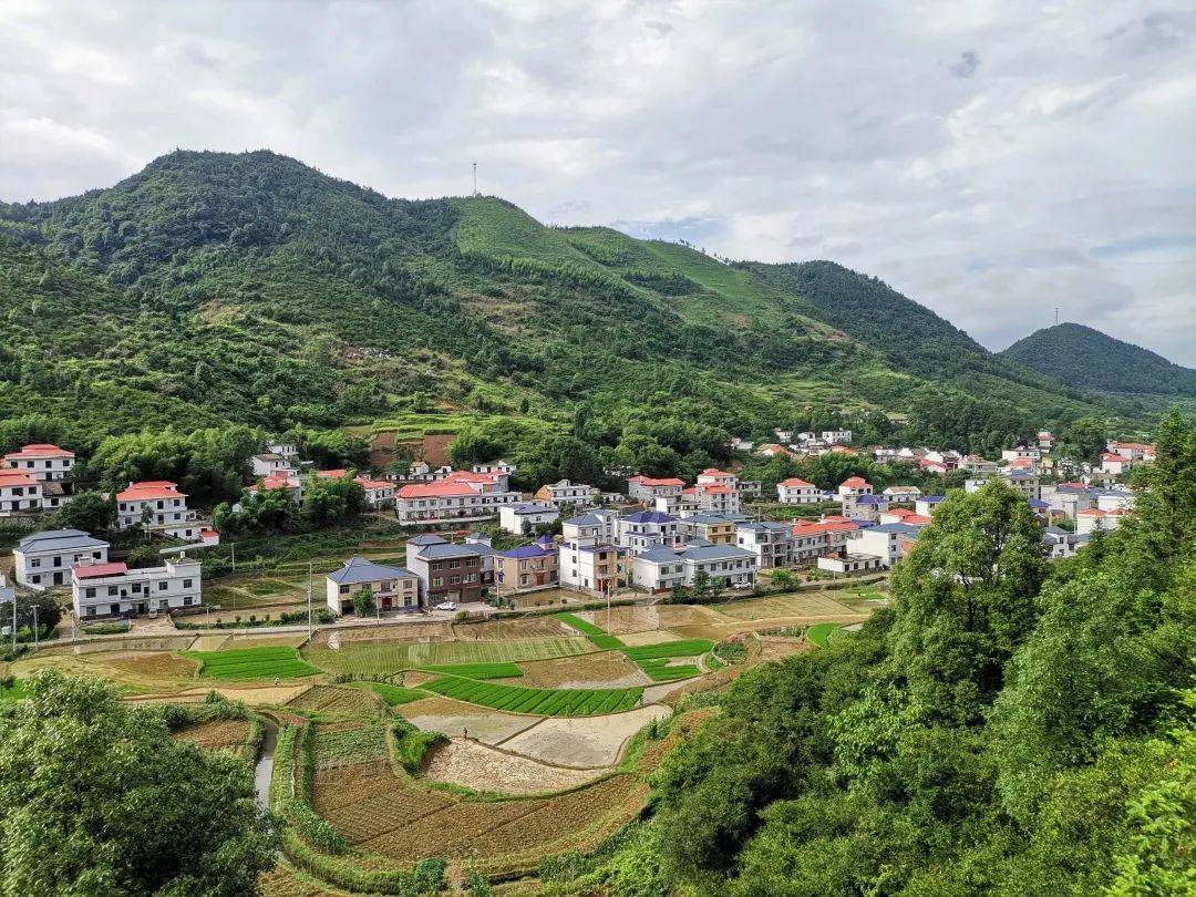 【新时代新农垦】上栗鸡冠山垦殖场的兴垦之路