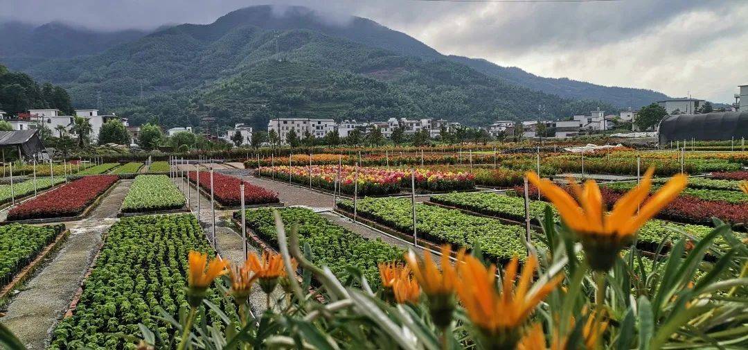 【新时代新农垦】上栗鸡冠山垦殖场的兴垦之路