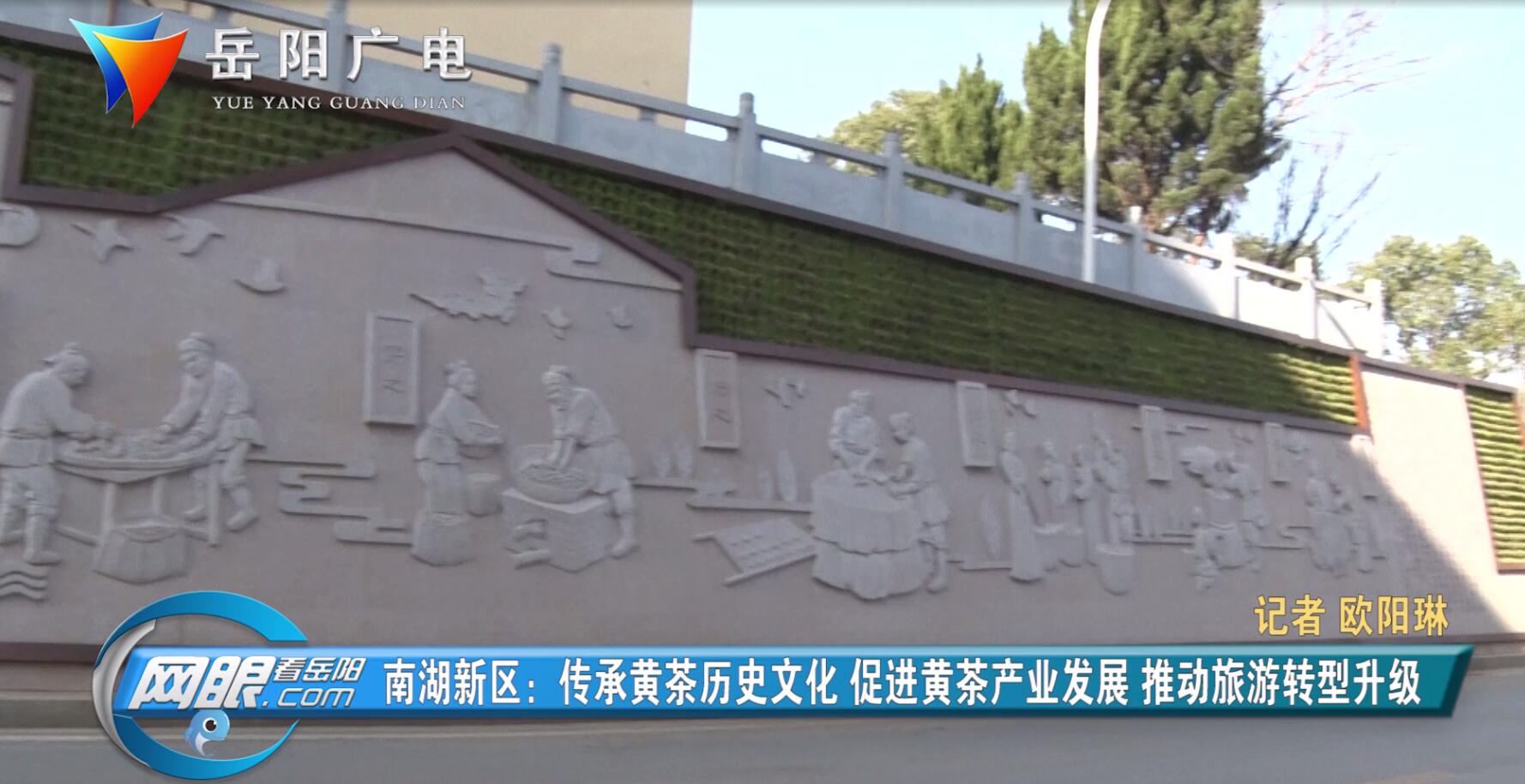 南湖新区:用黄茶文化 促进旅游转型升级