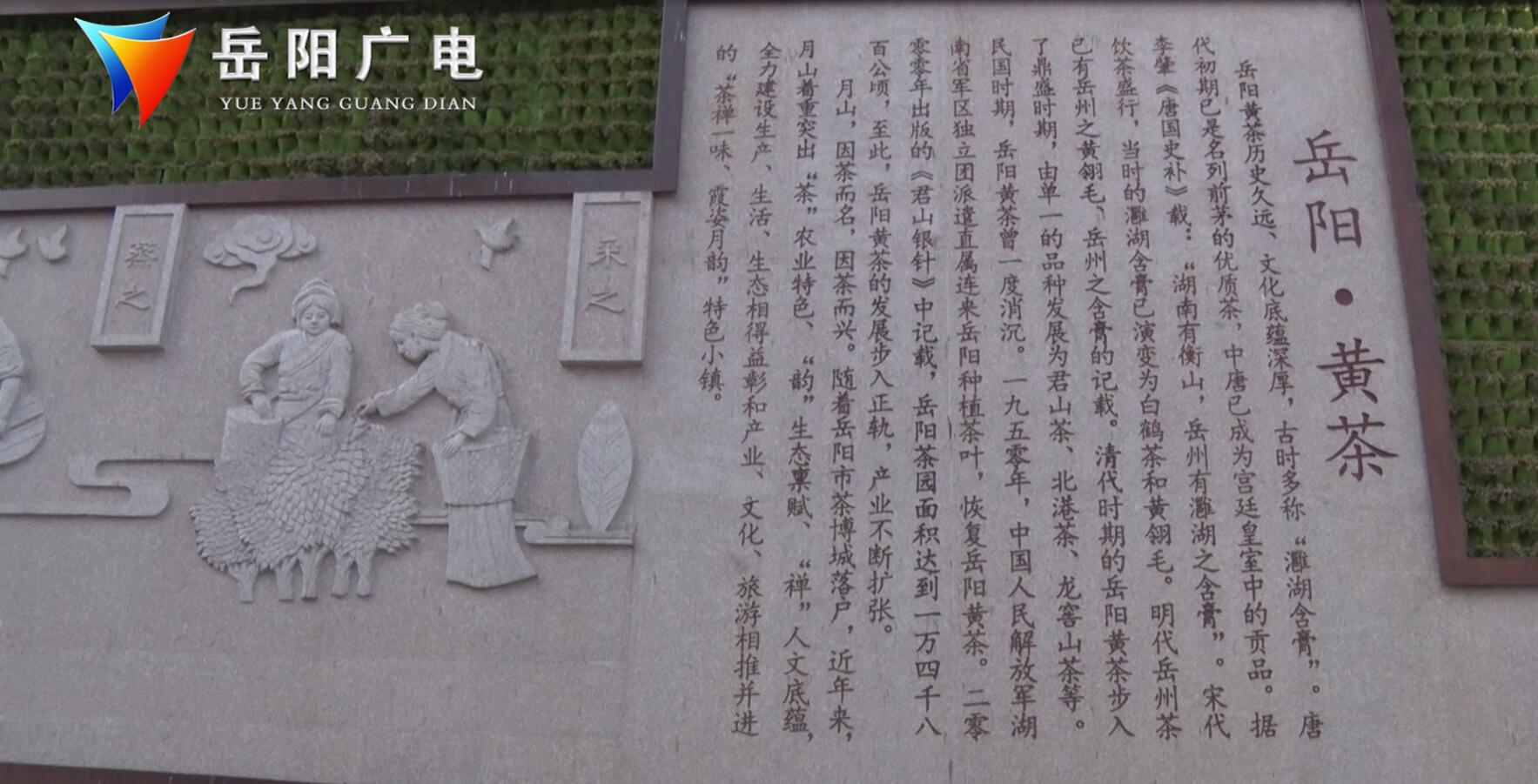 南湖新区:用黄茶文化 促进旅游转型升级