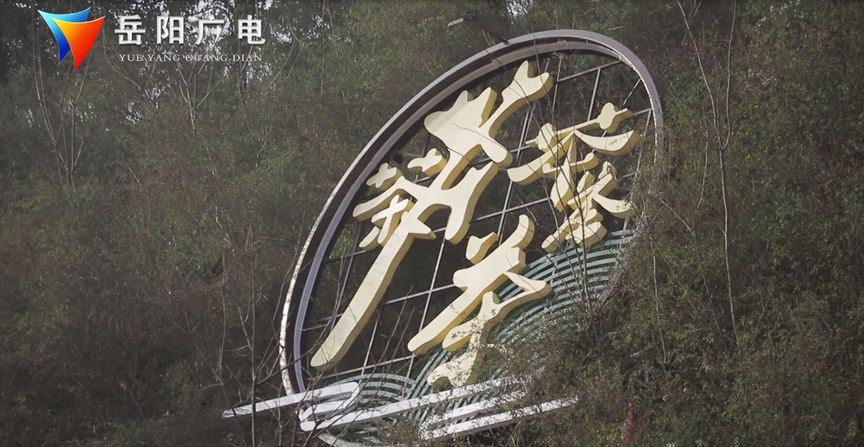 南湖新区:用黄茶文化 促进旅游转型升级