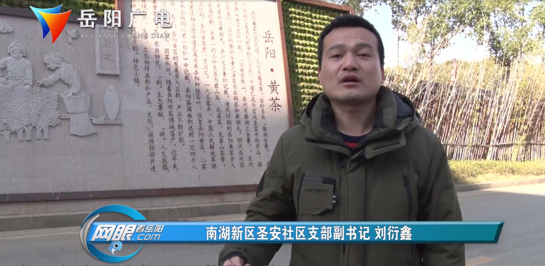 南湖新区:用黄茶文化 促进旅游转型升级