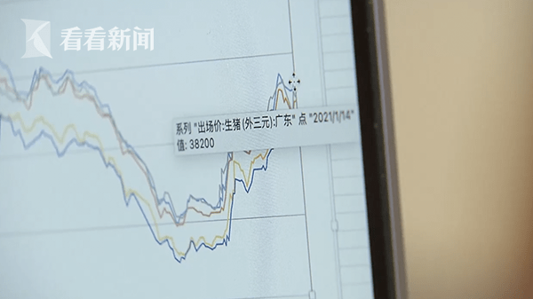 猪肉价格维持高位 年内回调成业内共识