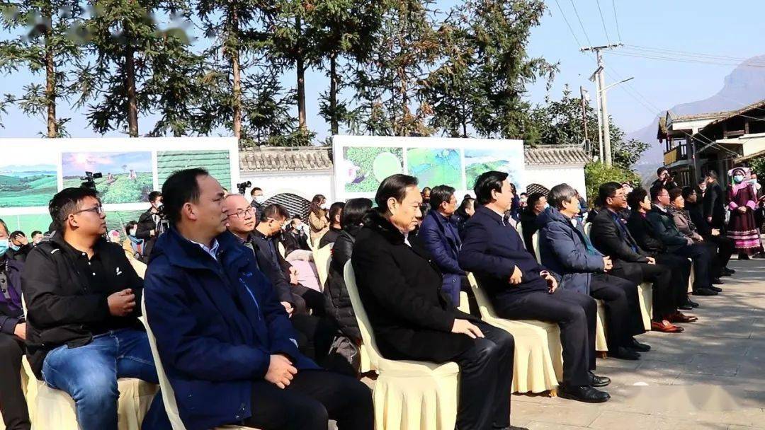 普安县举行“贵州绿茶”2021年第一采活动