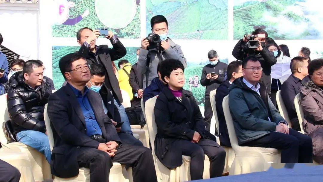 普安县举行“贵州绿茶”2021年第一采活动