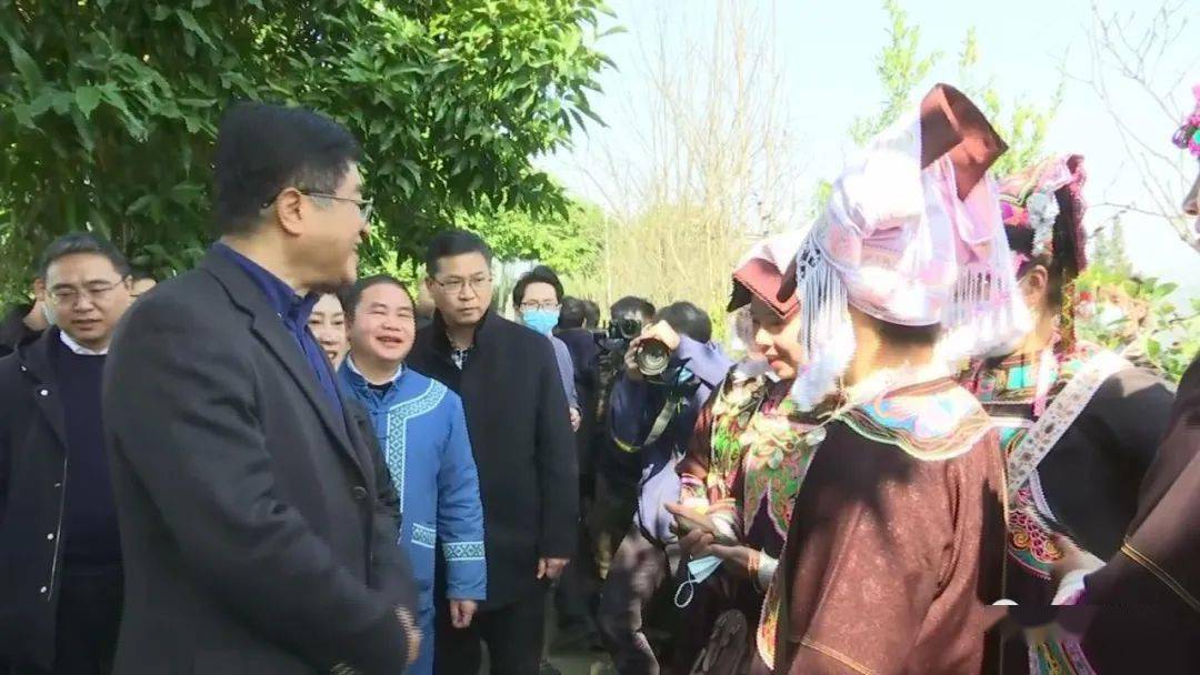 普安县举行“贵州绿茶”2021年第一采活动