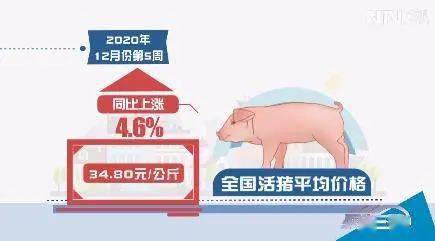 春节临近,猪肉价格又“抬头”!