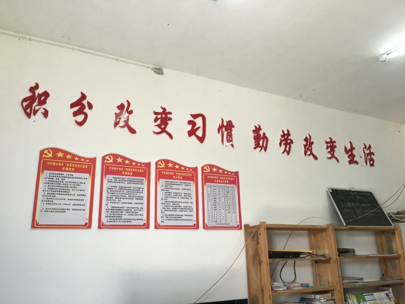 数字乡村积分制管理,小积分创造新成就