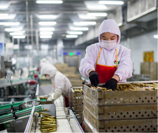金锣：高端化、标准化、年轻化成肉制品行业主旋律
