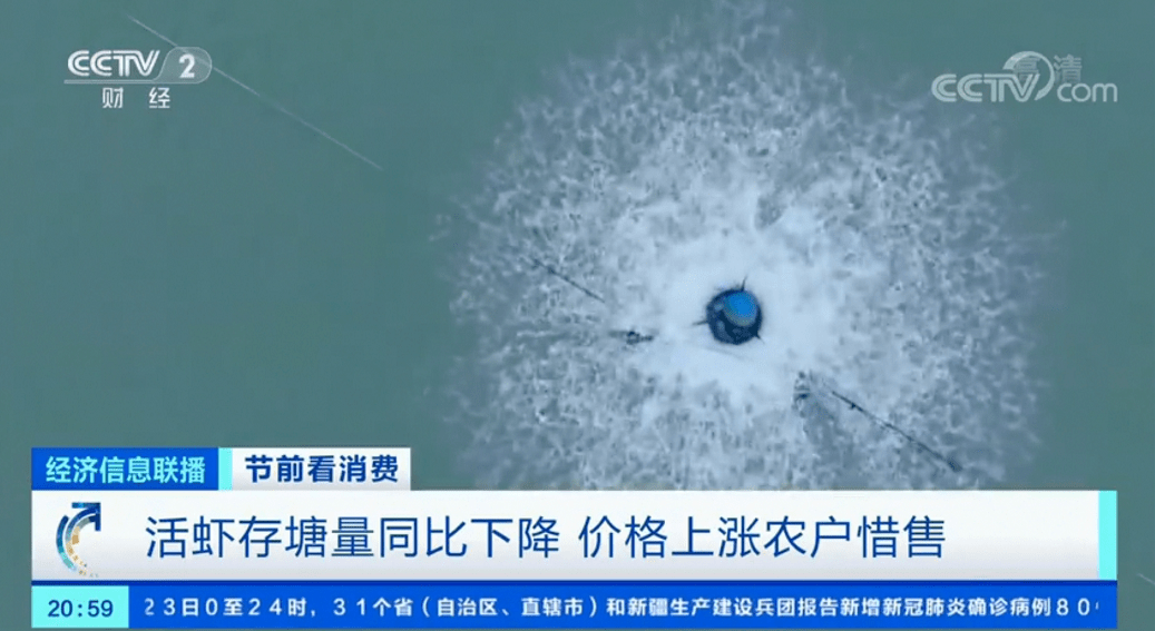 进口海鲜暴跌60%,国产活鲜却涨出天价!