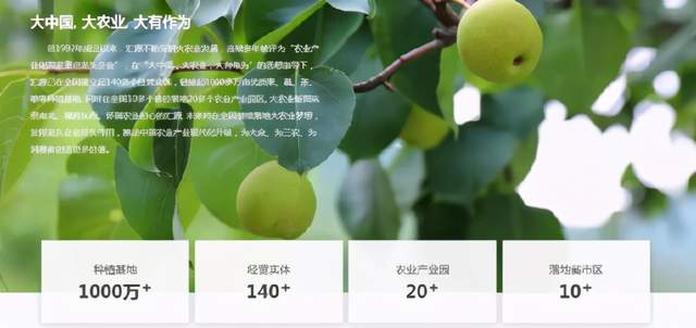 年没过完,中国的国民饮料凉了
