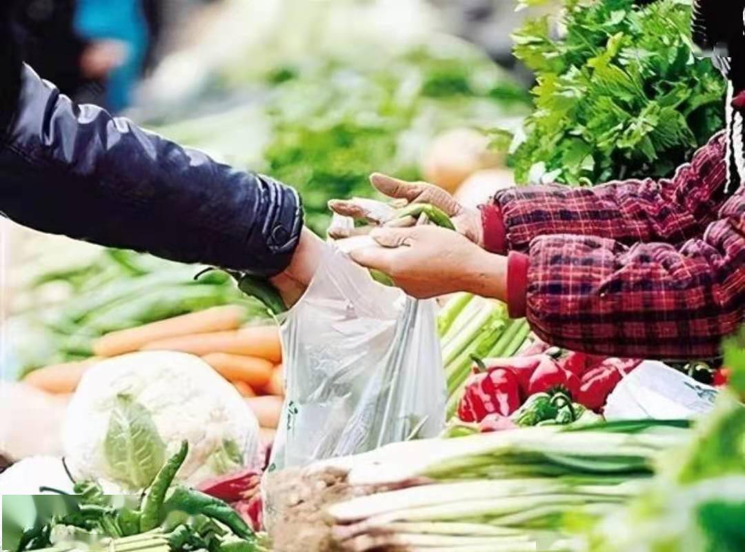 每日粮油新观察:粮食丰产还进口 大豆玉米单产竟不足美国60%