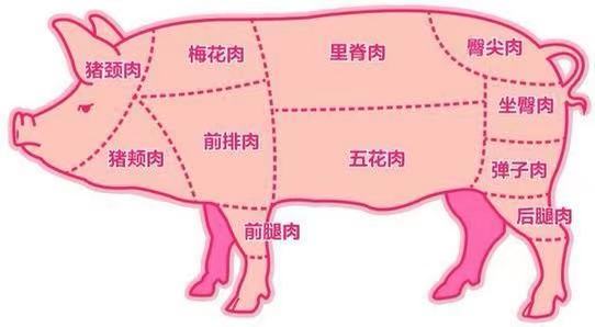 “猪肉自由”提上日程,价格连续下挫后,能否重回“10元时代”?